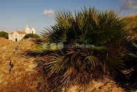 /album/castro-marim/igreja01-jpg/