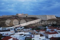 /album/castro-marim/forte-jpg/