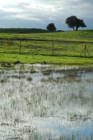 /album/ambiente/div003-jpg/