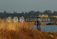 /album/ambiente/div001-jpg/