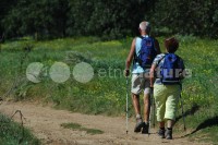 /album/ambiente/div009-jpg/