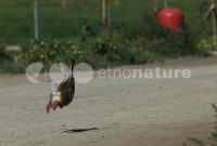 /album/ambiente/div0112-jpg/