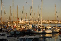 /album/vila-real-de-santo-antonio/vrsa05-jpg/