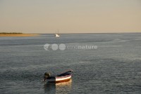 /album/vila-real-de-santo-antonio/vrsa08-jpg/